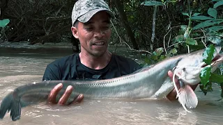 48 H Săn Thủy Qoái Giữa Dòng Lũ Dữ || live in the big fishing forest . harsh survival