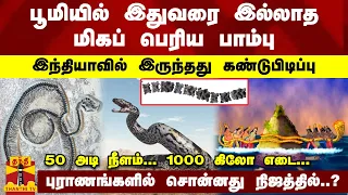 பூமியில் இதுவரை இல்லாத மிகப் பெரிய பாம்பு.. இந்தியாவில் இருந்தது கண்டுபிடிப்பு.. 50 அடி நீளம்...