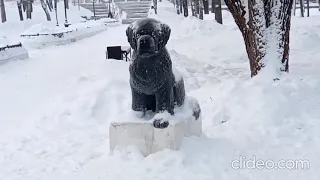 Зима в Райском саду(Пермь)