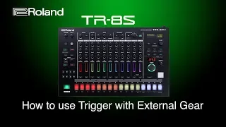 Roland - TR-8S - How to use Trigger with External Gear