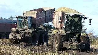 Extrem Häckseln | Claas Xerion 5000 & 3800 Working Hard During Maize / Corn Chopping | Häckseln 2017