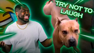 LAUGH & Go To Jail! (Try Not to Laugh Challenge REACTION)