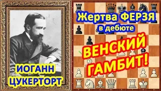 Шахматы ♔ Цукерторт ♕ Шахматные ЛОВУШКИ в дебюте Венский гамбит!