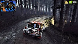 DiRT Rally 2.0 | Getting Sideways in The Citroën C3 R5 | 4K Ultra Graphics