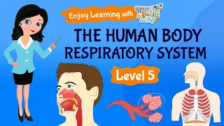 The Human Body: Respiratory System | Science | Grade 5 | TutWay