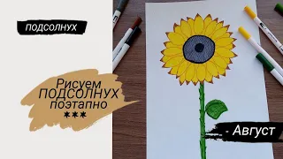 Как нарисовать подсолнух, поэтапно. Рисуем подсолнух за 5 минут!