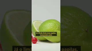 por que tomamos TEQUILA com SAL e LIMÃO?