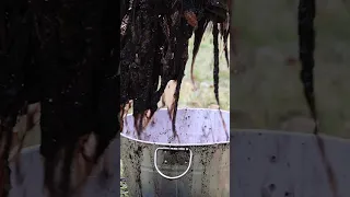 Sniper Ghillie Wash | Check out this DIY method to season your ghillie suit #tactical #sniper #army