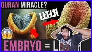 EMBRYO = LEECH | AMAZING QURAN MIRACLE Reaction!
