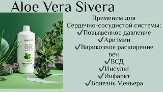 Питьевой Гель Алоэ Вера Интенс Сивера. Как восстановить сосуды? Их правильный кровоток, эластичность