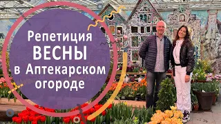 Репетиция весны в Аптекарском огороде