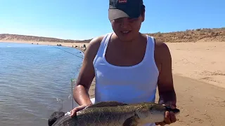 Трофей змейголов 🖐🤝🎣