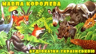 Аудіоказка для дітей "Мавпа королева" | Слухати українські казки