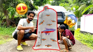 💥 FREE ആയിട്ട് 2000/- രൂപയുടെ മീനുകളെ കിട്ടി 😍| planted aquarium tutorial Malayalam