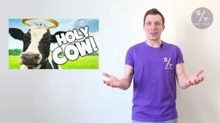 English slang with Roma: Holy Cow