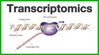 Transcriptomics: A short introduction to the core concepts of microarrays and RNA sequencing