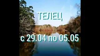 ТЕЛЕЦ.  Таро прогноз на неделю с 29.04 по 05.05.19. Новолуние 5 мая в Тельце.