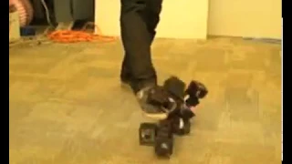 Modular robot reassembles when kicked apart