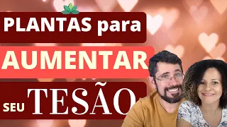 3 PLANTAS para aumentar seu TESÃO!