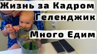 Жизнь за Кадром в Геленджике к Середине Декабря. Зимовка в Геленджике с Детьми. Много Едим