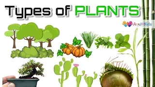 Types of plants | Science for kids |Trees,Herbs,Climbers,Creepers,Thorny plants,Water  Plants