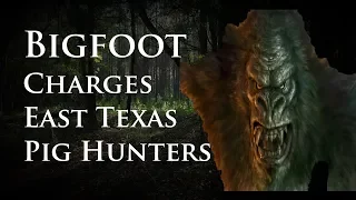 Bigfoot Charges East Texas Pig Hunters