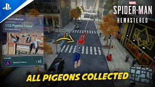 SPIDER-MAN Remastered | All Pigeons Collected