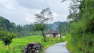 Heavy Rain in Indonesian countryside||a beautiful and fertile countryside