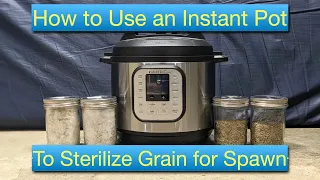 Instant Pot Sterilization of Rye Grain for Spawn - Home Mushroom Growing - How To Procedure