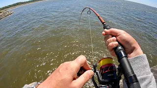 PIER & SURF Fishing | Jekyll Island