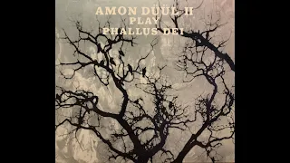 Amon Düül II - Amon Düül II Play Phallus Dei (DVD)