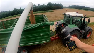 Deszczowa końcówka żniw 2023 🌧 pszenica na 6+ 🌾