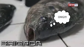 Fact or Fake: HIV, nakukuha nga ba mula sa pagkain ng isda? | Brigada