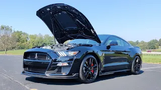 What it's like to DRIVE the *760HP* Shelby GT500 Mustang! #shorts