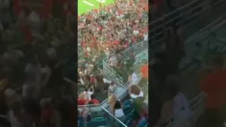 Cat gets saved from near death at Miami Hurricanes football game