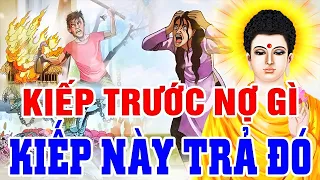 Chuyện Nhân Quả Hay Nhất 2024, KIẾP TRƯỚC NỢ GÌ KIẾP NÀY TRẢ ĐÓ - Nhân Quả Báo Ứng Không Bỏ Sót 1 Ai