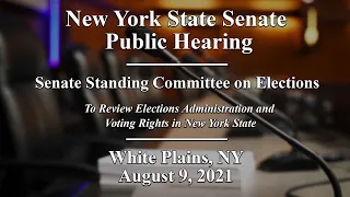 NYS Senate Public Hearing: Testimony on voting experiences and issues from voters - 08/09/21