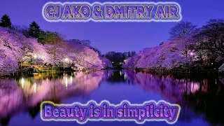 CJ AKO - Beauty is in simplicity Красивая мелодия для души без слов Dmitry Air mix №1 музыка