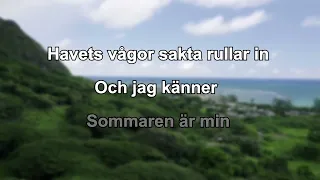 Sommarlov (karaoke - lyrics)