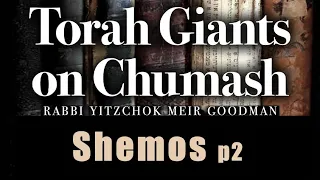 Shemos 5784 - Jewish Pride, Jewish Names - Steven Geller