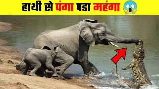 हाथी ने मगरमच्छ को उसकी औकत दिखाई 😱 Elephant vs Crocodile fight 🤯 #shorts