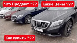 Б/У Авто из Беларуси ! Еду Покупать на Авторынок Малиновка  ! Обзор от ДимАвто77 .