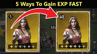5 Ways to Gain EXP Fast In Viking Rise || Viking Rise Tips
