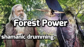 Shamanic Drumming🎧Forest Power