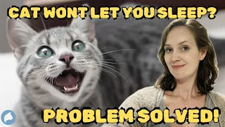 The secret to stopping your cat waking you at night! 🐱😎🐱 Cat behaviourist approved ✅