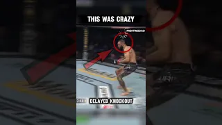 The Craziest Knockout of All Time