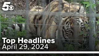 5NEWS Top Headlines | April 29, 2024