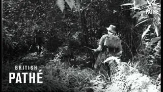 Malaya - Troops Learn Jungle Craft - Exclusive (1953)