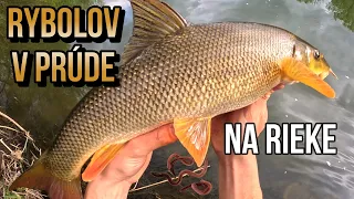 Lov Riečnych Rýb na Červy 🪱🐋 Jarný Feeder v prúde na rieke řece Váh 🎣 rybolov s Demexom