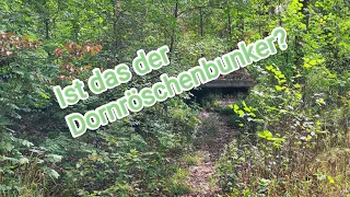 Bunkertour - suche nach dem Dornröschenbunker. Ob wir ihn finden? 🤔🧐